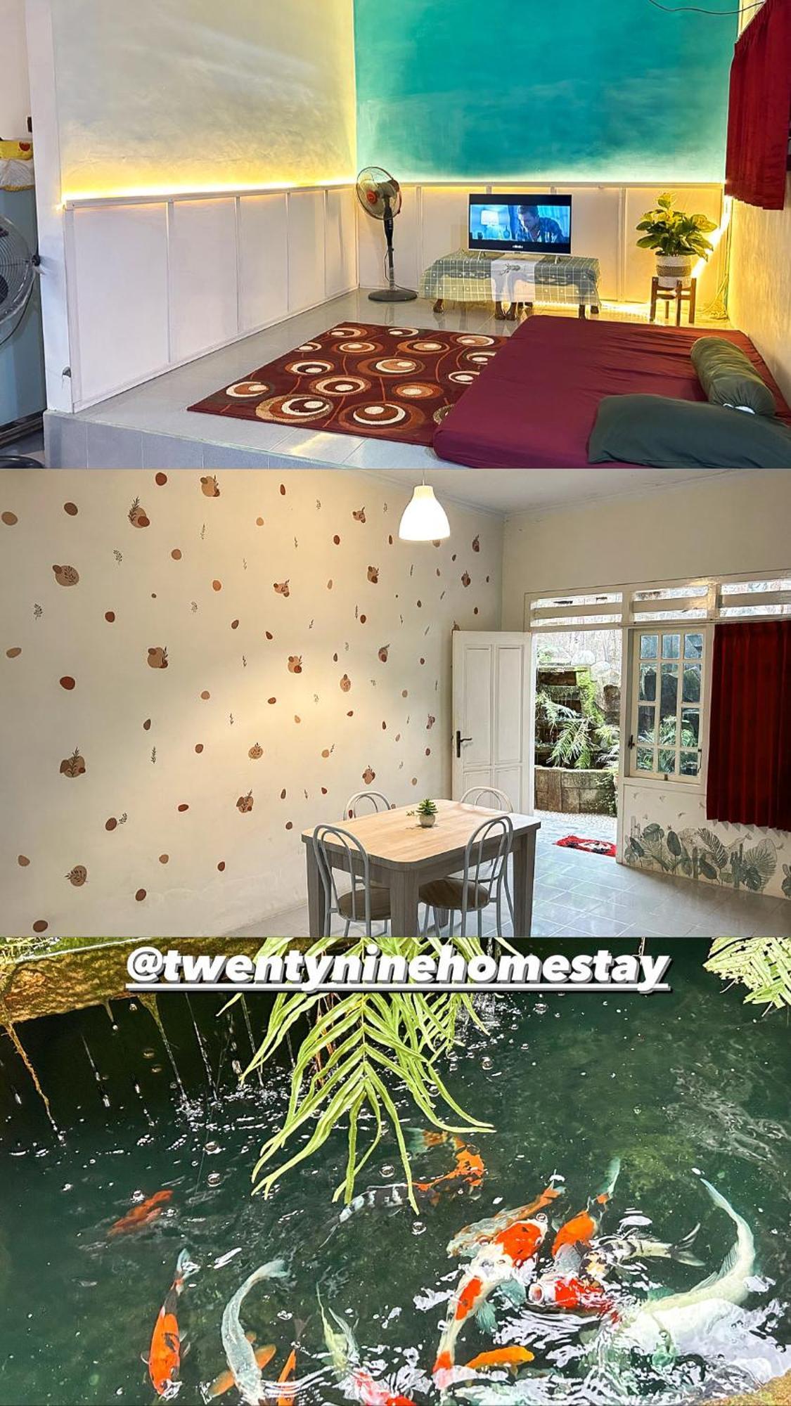בניוואנגי Twentynine Homestay מראה חיצוני תמונה